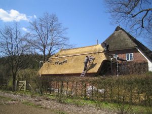 08-janiak-lippert_reetdachsanierung-gut-schierensee
