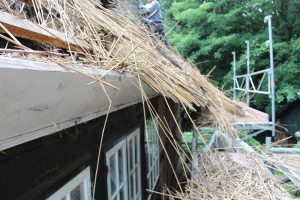 19-janiak-lippert_reetdachsanierung-gut-schierensee