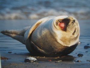 24-janiak-lippert_Jugendherberge-Helgoland